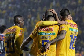 Jugadores de tigres celebrando 