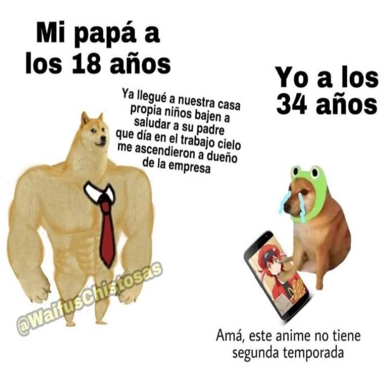 Los mejores memes del 2020