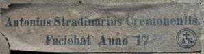 Copia stradivarius
