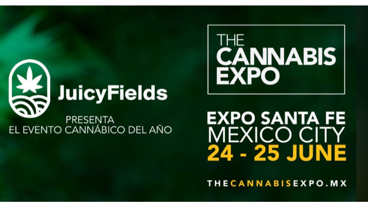 CDMX anfitriona de la Expo y Convención Global de Cannabis Revista