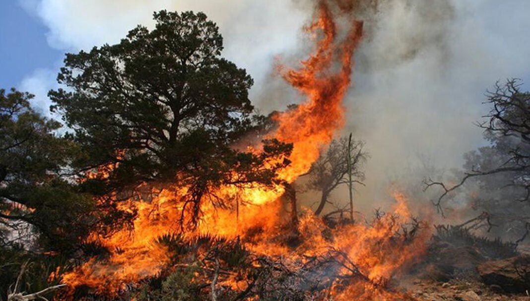 Este año 172 incendios en Puebla