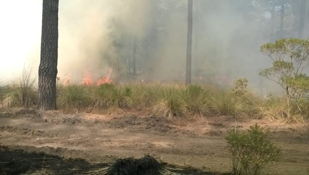 Aumentan los incendios en Puebla: 150 registrados en este año