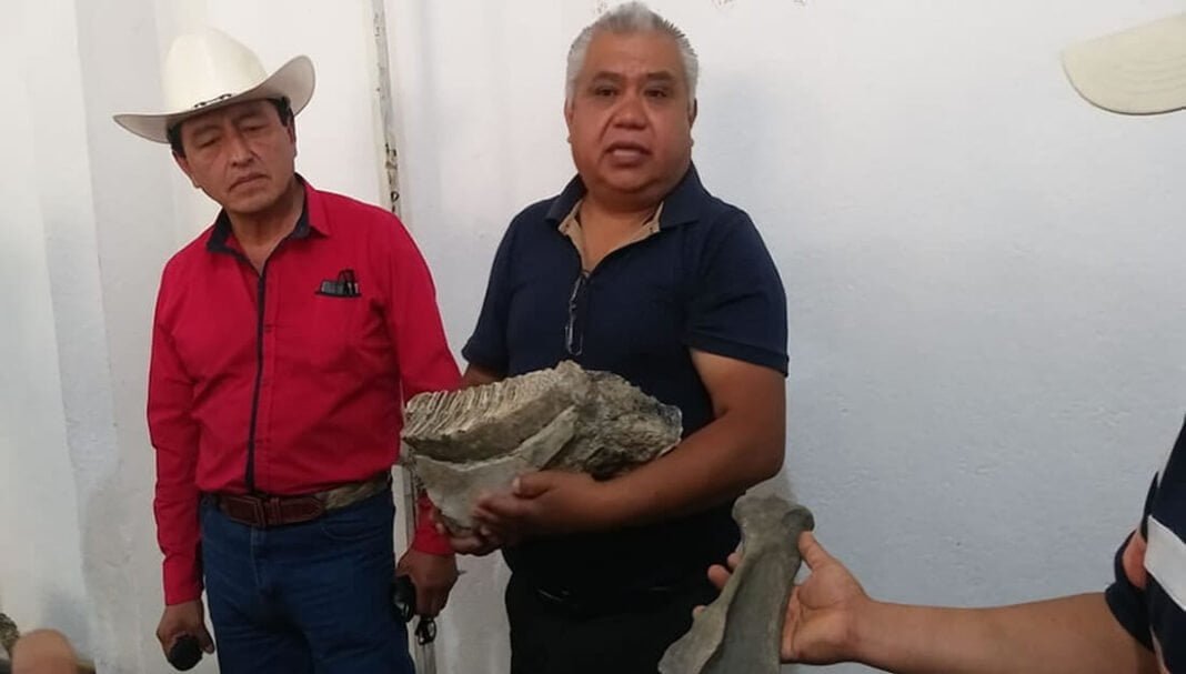 Reportan pobladores hallazgos de restos de mamut en Puebla capital