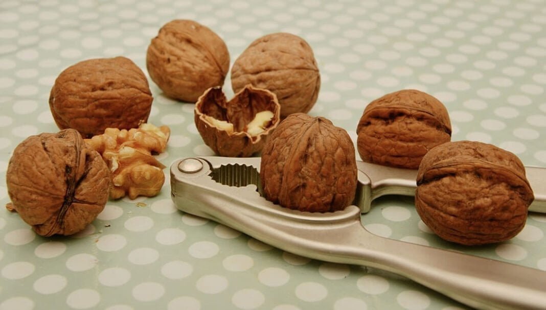 Nueces Previenen la depresión, el Alzheimer y las enfermedades cardiovasculares