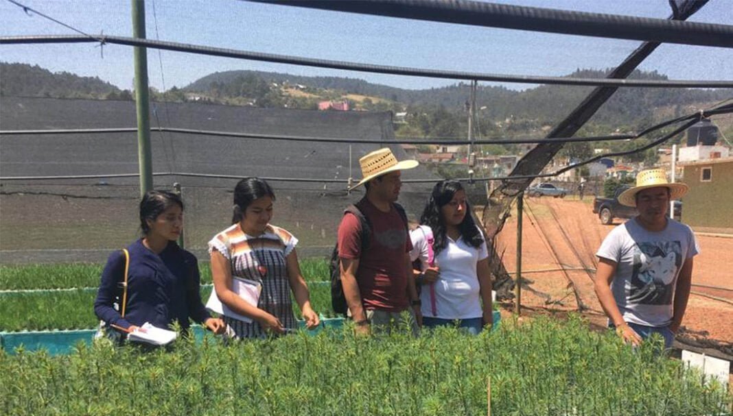 Gestión Territorial e Identidad Biocultural BUAP, una licenciatura innovadora