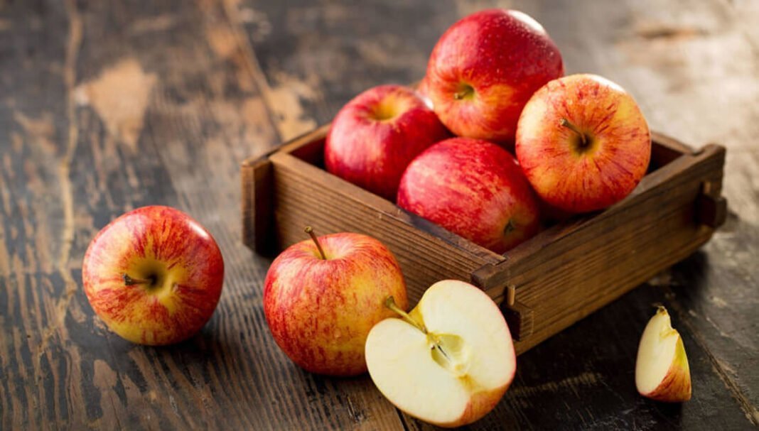 Dieta y cáncer: 20 alimentos que son tus aliados para prevenirlo