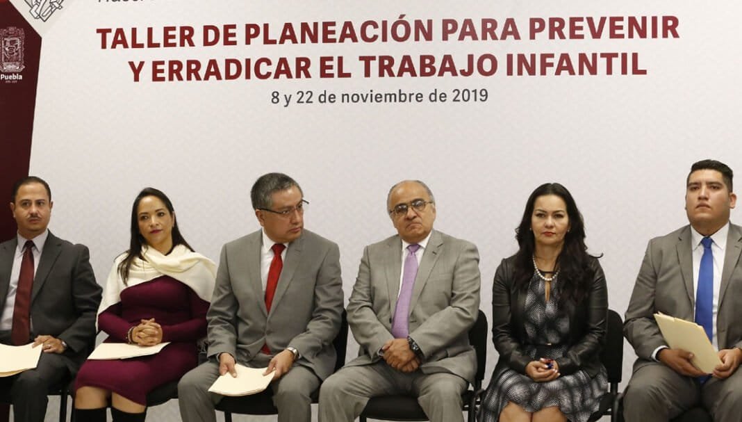 SIPINNA otro elefante de cristal SIPINNA otro elefante de cristal