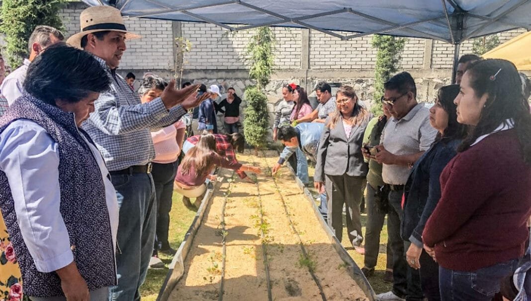 Gobierno de la Ciudad realiza jornada de capacitación sobre Agricultura Urbana en escuelas Gobierno de la Ciudad realiza jornada de capacitación sobre Agricultura Urbana en escuelas
