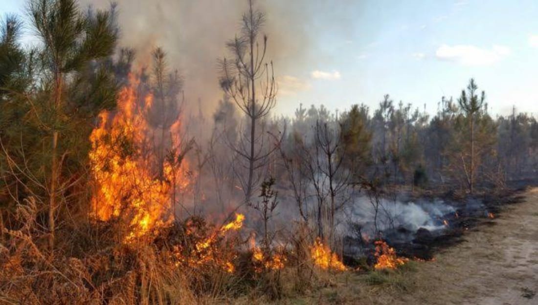 Advierte Conafor que marzo y abril serán los meses con más incendios