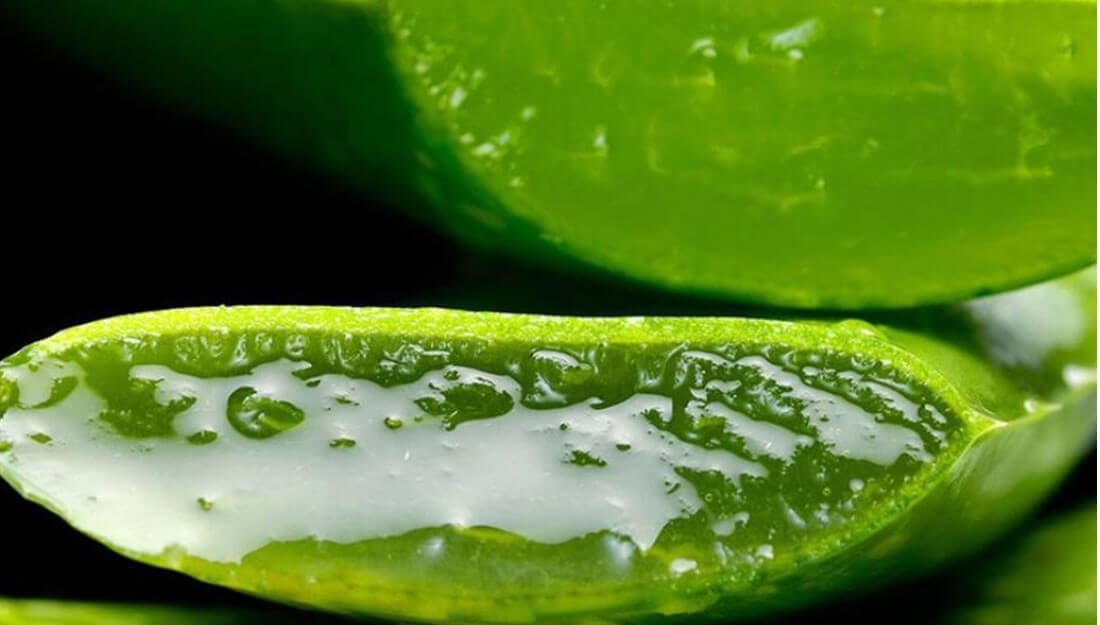 Elabora un spray de aloe vera y tu cabello crecerá