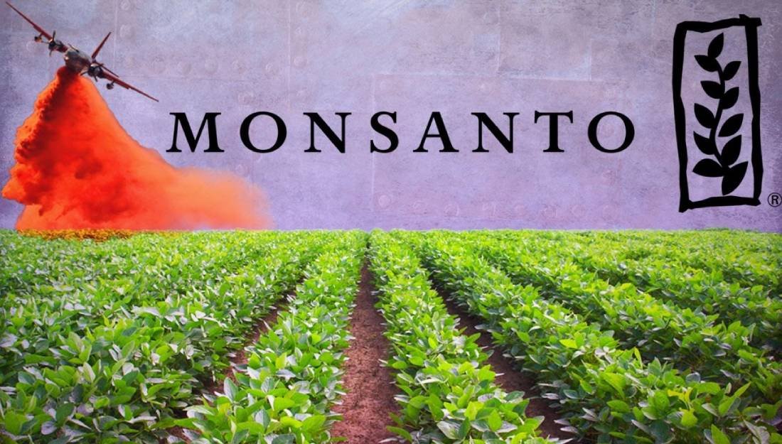 Películas para ver en youtube: El mundo según Monsanto