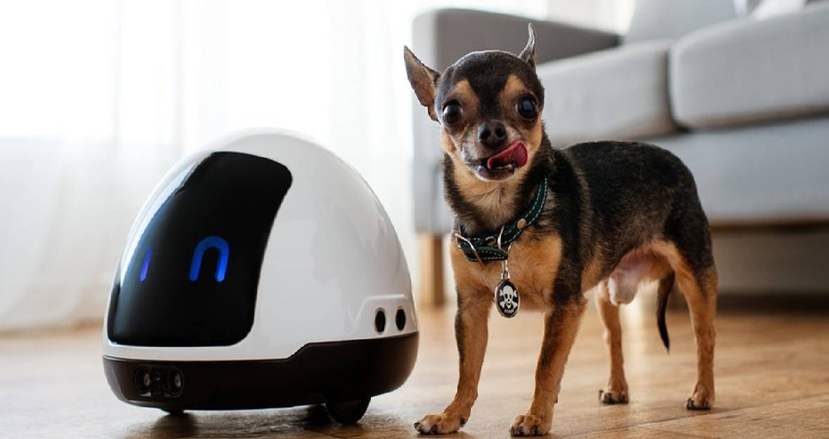 Actívate con tus mascotas Actívate con tus mascotas