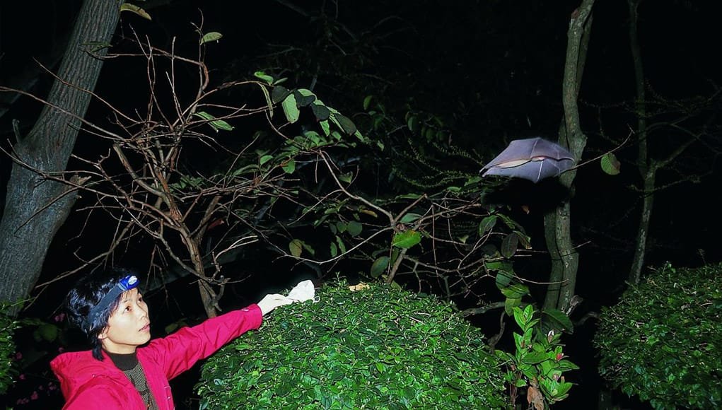 La conspiración del coronavirus y las teorías más inverosímiles