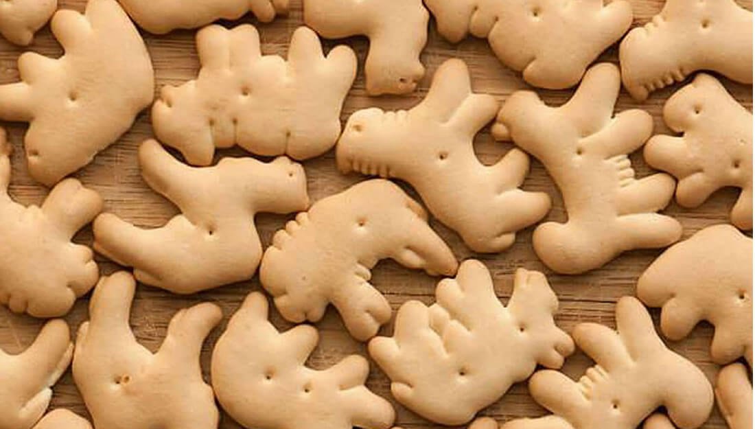 10 curiosidades de las galletas de animalitos