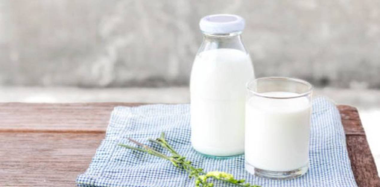 La leche: el mejor aliado para el crecimiento