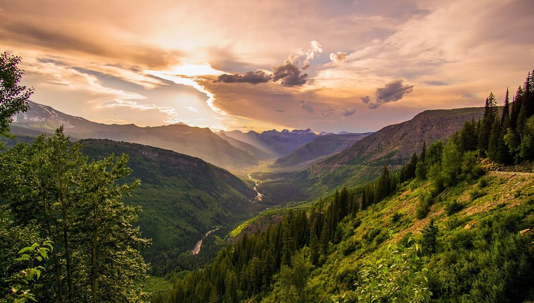 Lanza Purnla talleres en línea ante el Día del Medio Ambiente