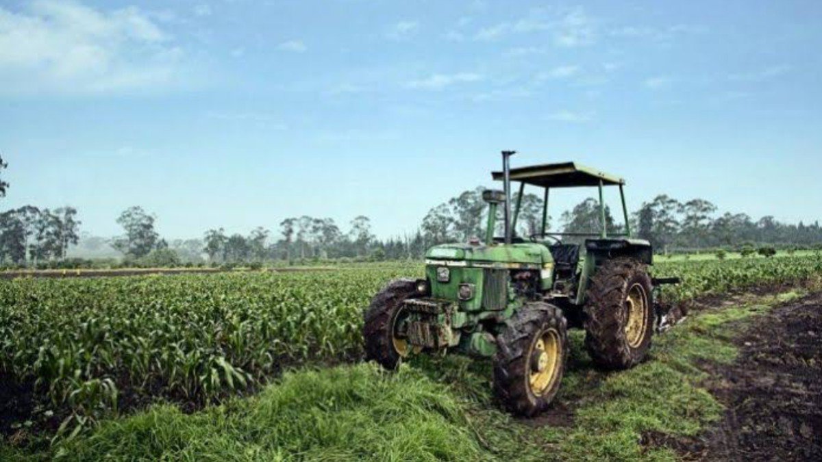 Piden que agroindustria sea declarada actividad escencial Piden que agroindustria sea declarada actividad escencial