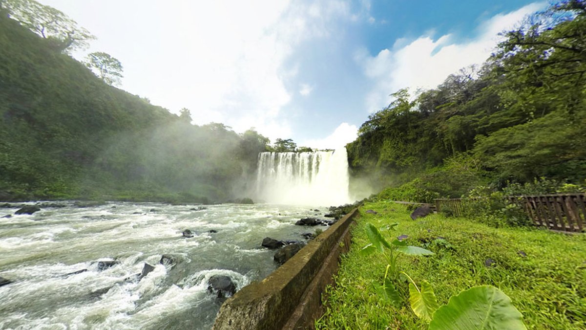 Analizan riquezas naturales de Los Tuxtlas, Veracruz, y Chamela, Jalisco