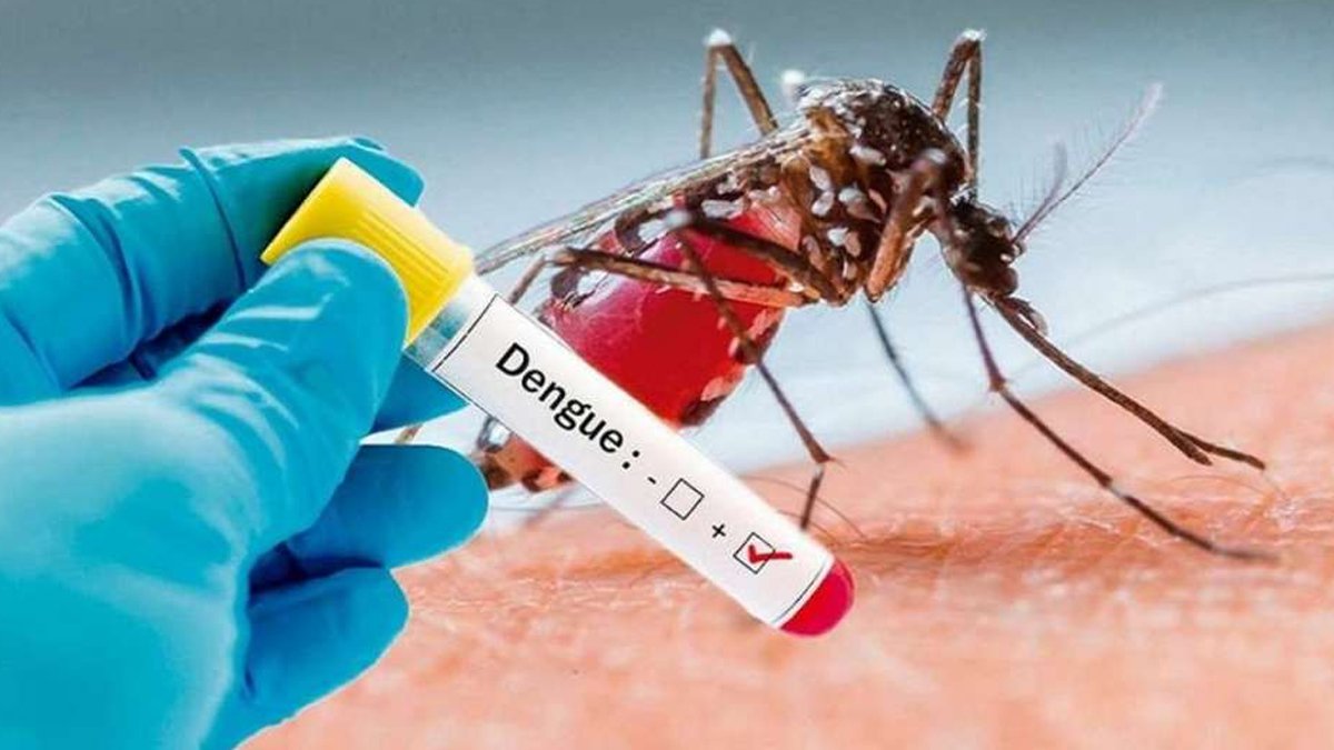 Alertan por aumento de casos de dengue en Puebla