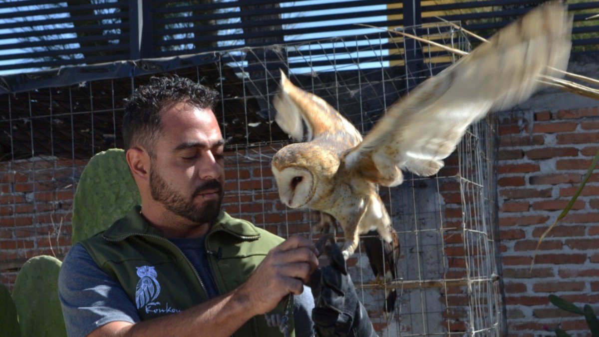 UMA Konkon BUAP, cinco años de labor en la conservación de la vida silvestre