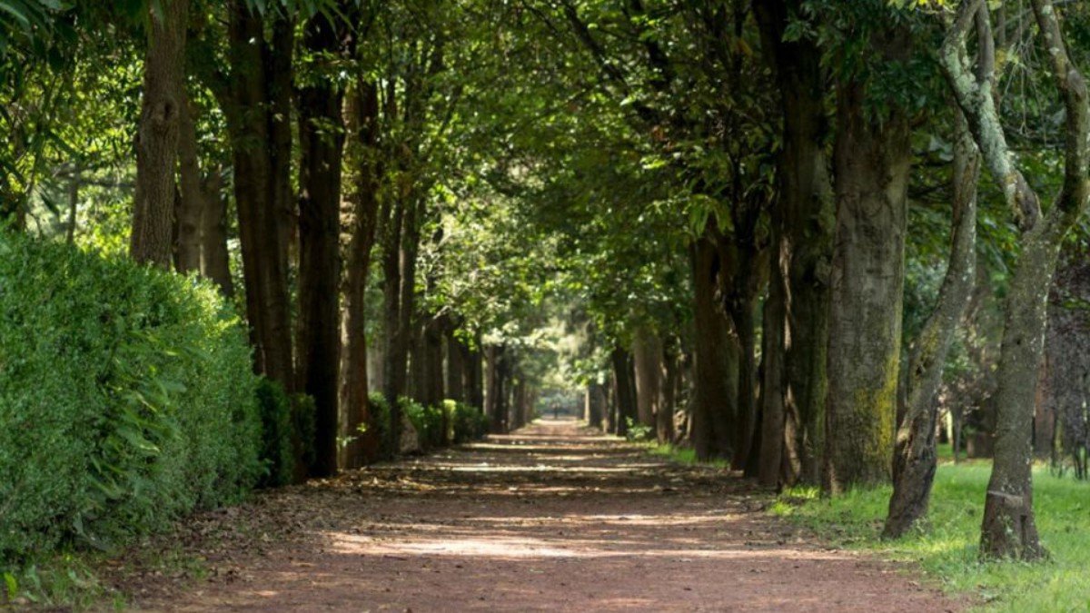 Anuncias tres centros ciudadanos para la sustentabilidad en 2020 Anuncias tres centros ciudadanos para la sustentabilidad en 2020