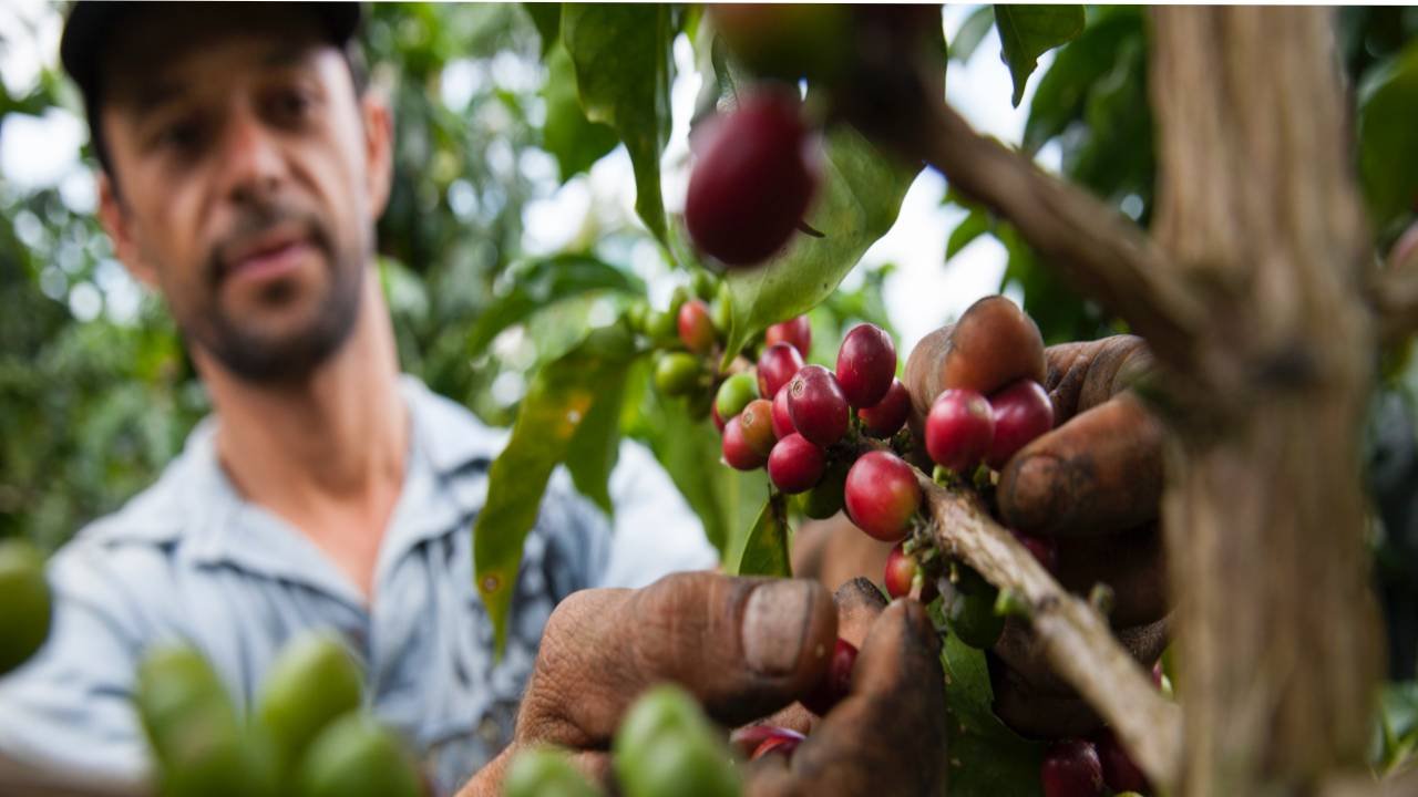 Plan NESCAFÉ®, la campaña Son Nuestro Orgullo