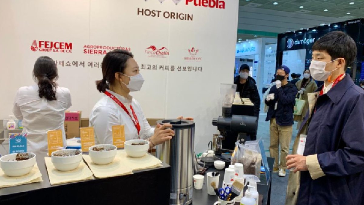 Participa Puebla en el Café Show 2020 de Corea del Sur Participa Puebla en el Café Show 2020 de Corea del Sur