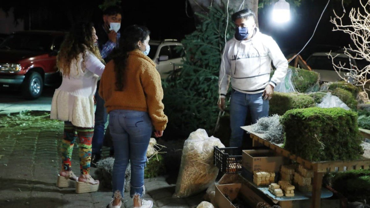 Invita Gobierno de la Ciudad a la ciudadanía a reciclar sus árboles de navidad