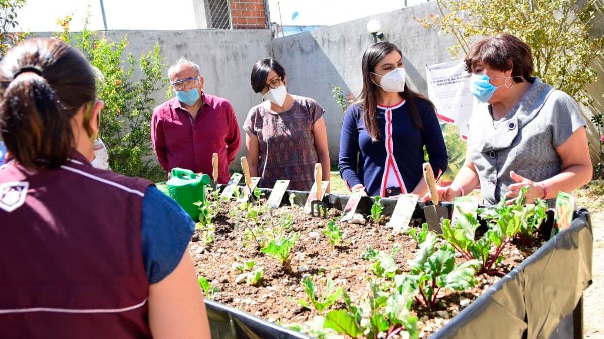 Ayuntamiento de Puebla beneficia a 135 personas adultas mayores con módulos de producción alimentaria