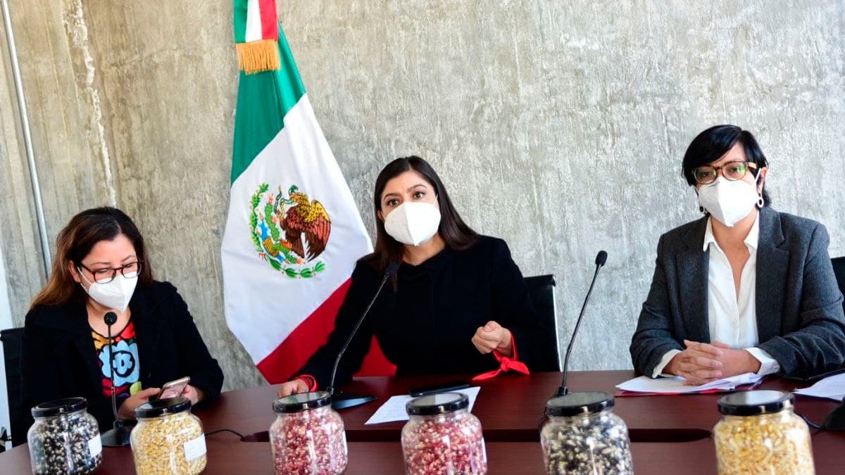 Gobierno de la Ciudad crea el primer Banco de Semillas Nativas