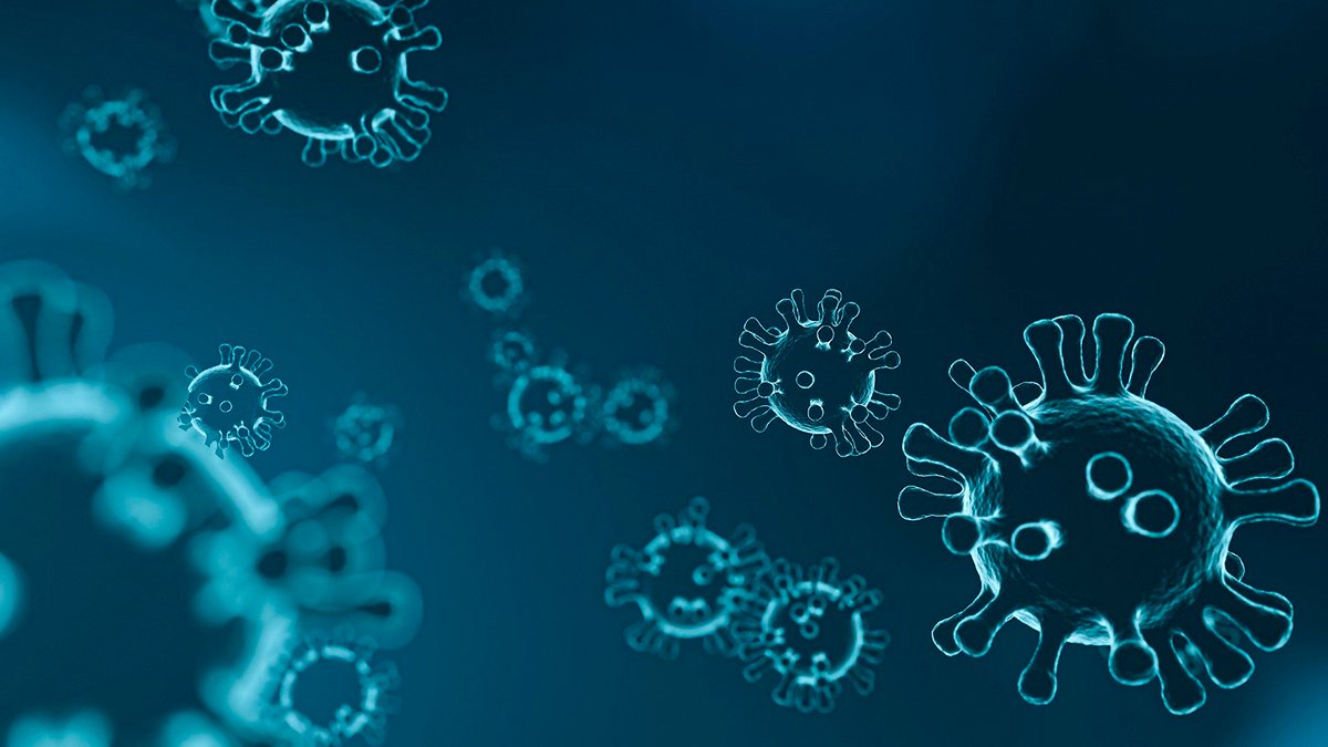 Puebla, con alta tasa de mortalidad por covid-19 Salud