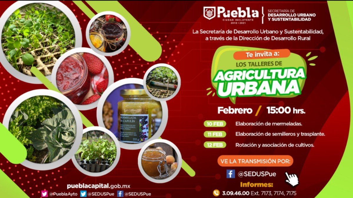 Ayuntamiento de Puebla impulsa la agricultura urbana con talleres virtuales