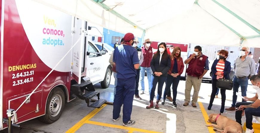 Ayuntamiento de Puebla mejorará la capacidad y condición de atención para las pequeñas especies