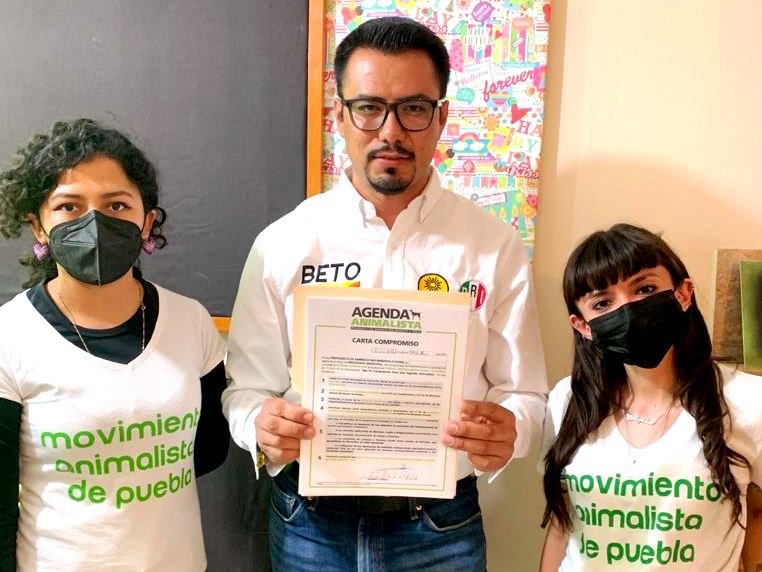 Firma Beto Gil compromiso para el cuidado de animales Firma Beto Gil compromiso para el cuidado de animales