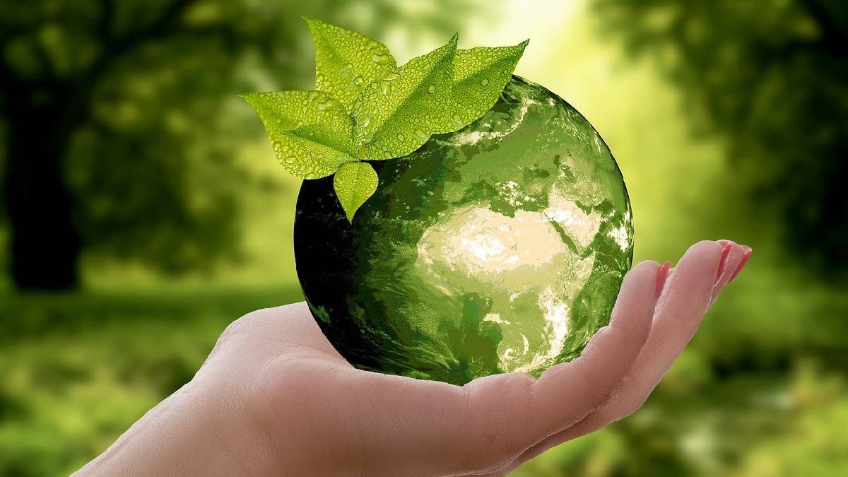 reciclado