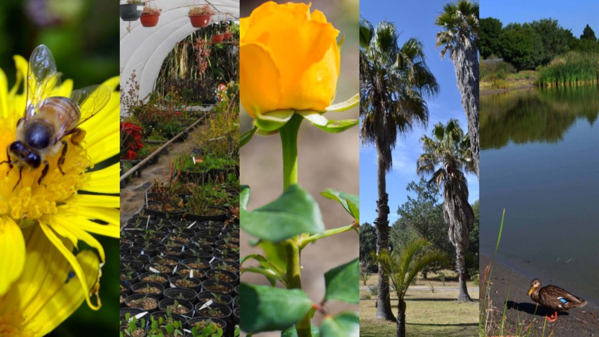BUAP conmemora el Día Nacional de los Jardines Botánicos BUAP conmemora el Día Nacional de los Jardines Botánicos