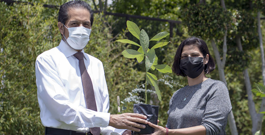 Entrega rector BUAP más de 800 especies con “Adopta un árbol” Entrega rector BUAP más de 800 especies con “Adopta un árbol”