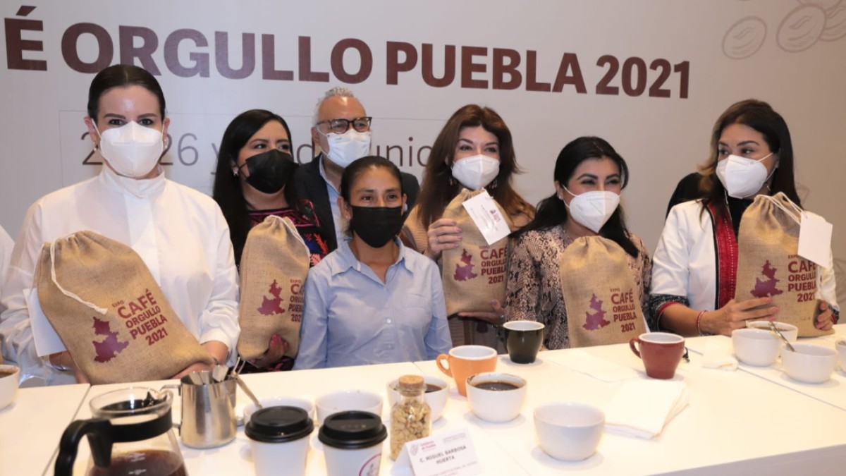 Zongozotla, con café de calidad Zongozotla, con café de calidad