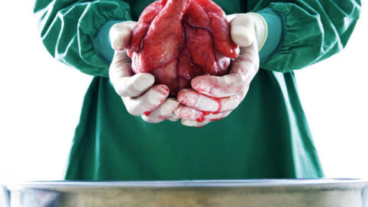 Inicia IMSS La Margarita campaña de donación de órganos Inicia IMSS La Margarita campaña de donación de órganos