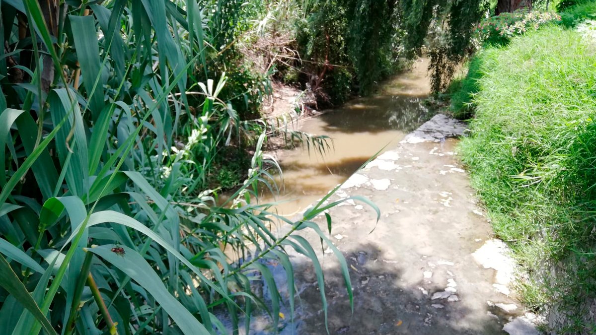Sin cultura ambiental en empresas y ciudadanos, complicado rescate del Atoyac: académicos Sin cultura ambiental en empresas y ciudadanos, complicado rescate del Atoyac: académicos