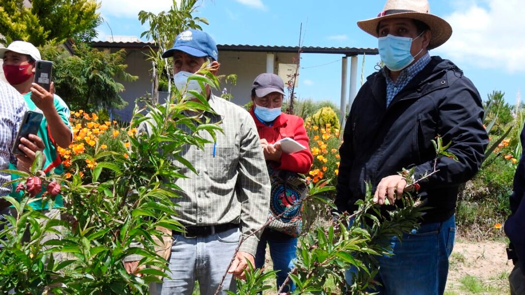 Ayuntamiento de Puebla capacita sobre la importancia y el manejo del nogal Ayuntamiento de Puebla capacita sobre la importancia y el manejo del nogal