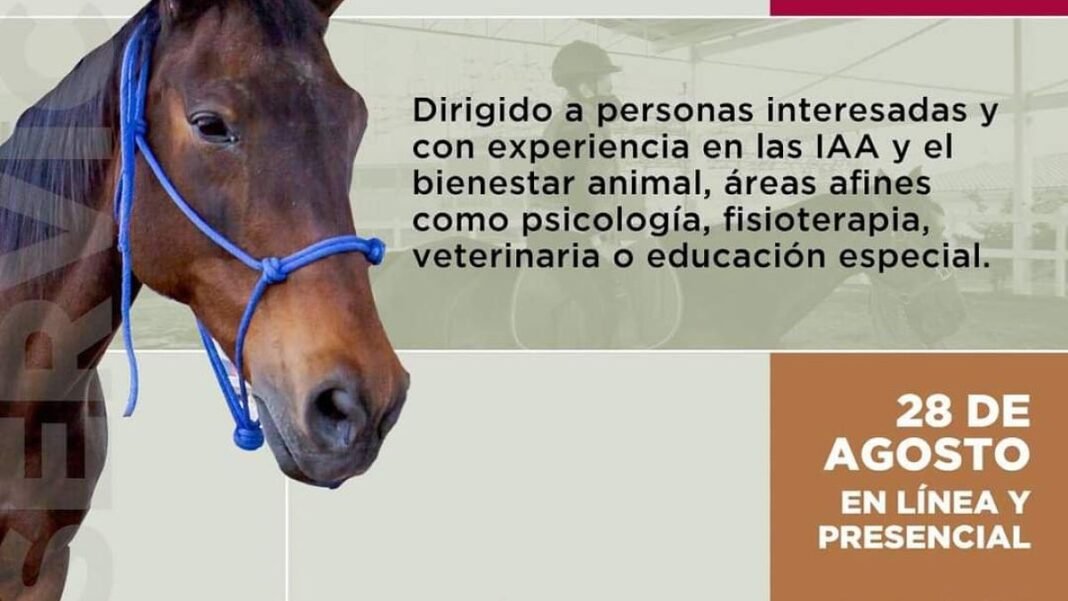 SMDIF realizó el Segundo Encuentro Nacional de Terapeutas de Equinoterapia SMDIF realizó el Segundo Encuentro Nacional de Terapeutas de Equinoterapia
