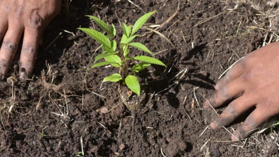 Ayuntamiento de Puebla invita a preservar el medio ambiente con talleres en Analco Ayuntamiento de Puebla invita a preservar el medio ambiente con talleres en Analco