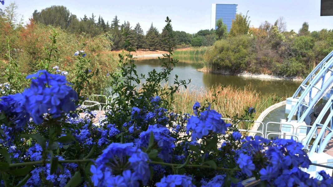 Jardín Botánico de la BUAP participa en la Estrategia Global para la Conservación Vegetal