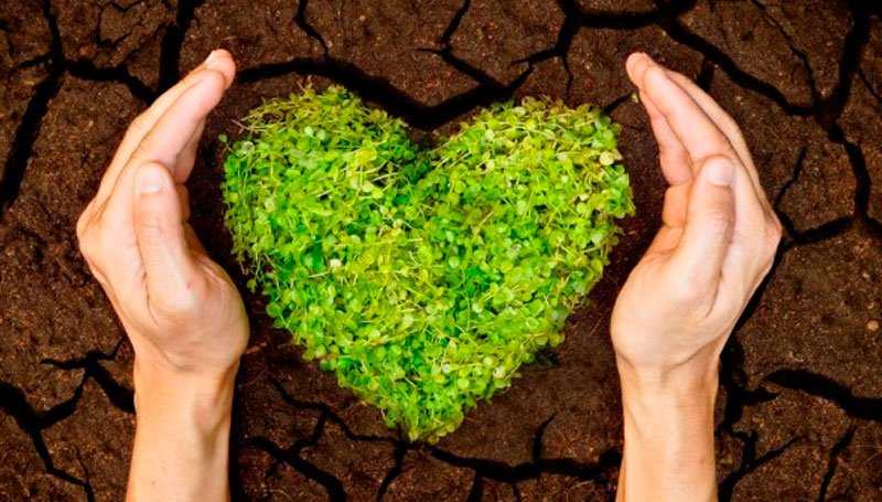 Conmemoran Día Nacional de la Conservación Conmemoran Día Nacional de la Conservación