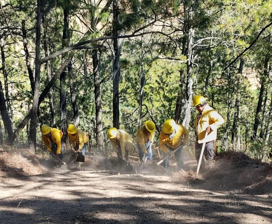 Refuerzan acciones ante la temporada de incendios en Puebla
