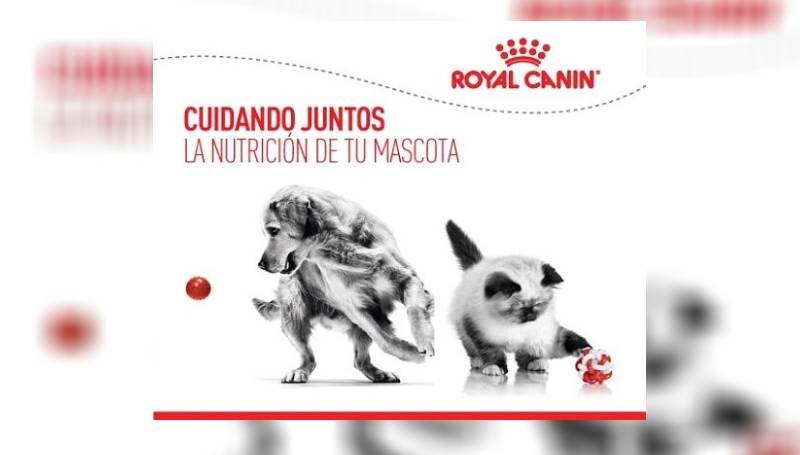 Fundación Royal Canin