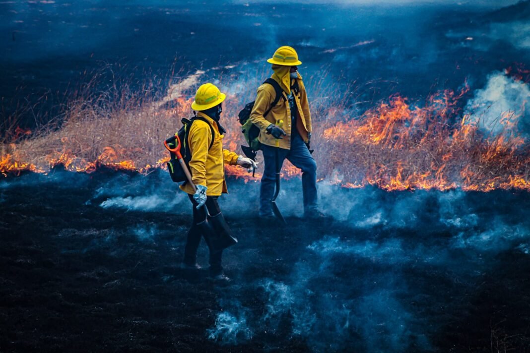 Incendio consume importante área de pastizales en Bosques de Chapultepec Incendio consume importante área de pastizales en Bosques de Chapultepec