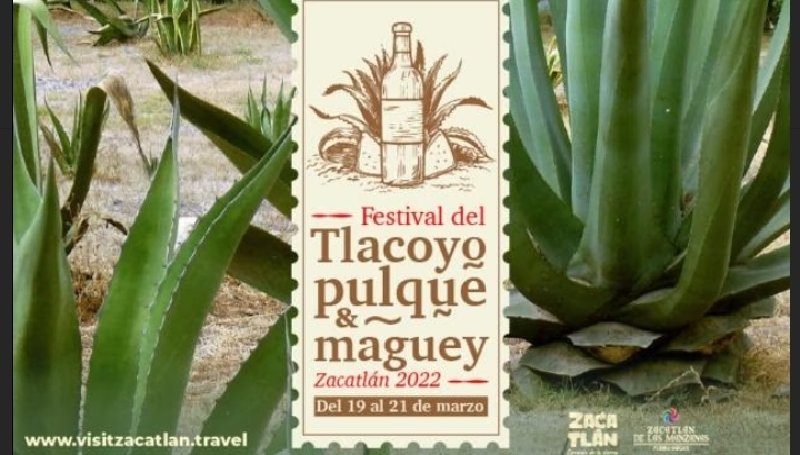 Fin de semana del Festival del Pulque, Tlacoyo y Maguey en Zacatlán Fin de semana del Festival del Pulque, Tlacoyo y Maguey en Zacatlán