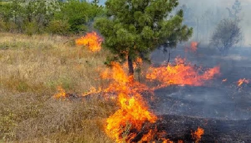 Refuerza Zacatlán acciones contra los incendios forestales Refuerza Zacatlán acciones contra los incendios forestales